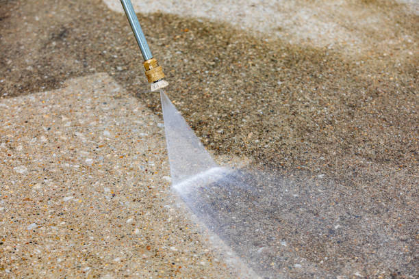 Best Driveway Pressure Washing  in Dulce, NM